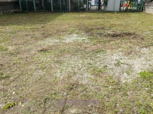 大阪府吹田市の空き地の草刈り後