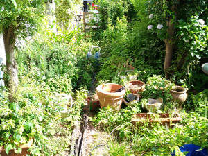池田市の個人宅での草引き＆除草剤散布前