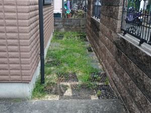 雑草や猫に悩む砂利の犬走りのお庭【大阪】